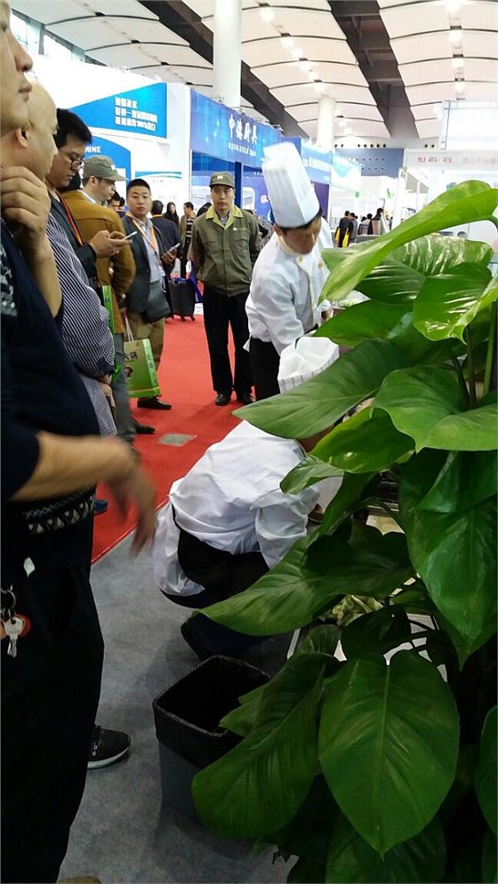 歡迎各界人士前來(lái)參觀大明展位