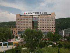  項(xiàng)目案例：延長石油楊莊河化工廠